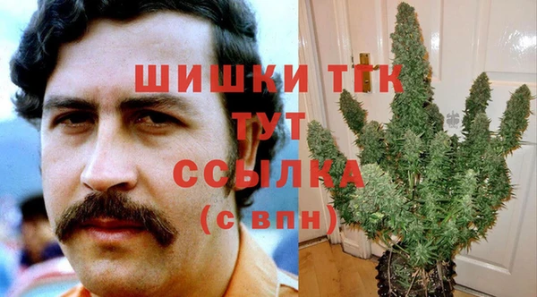 спайс Бородино